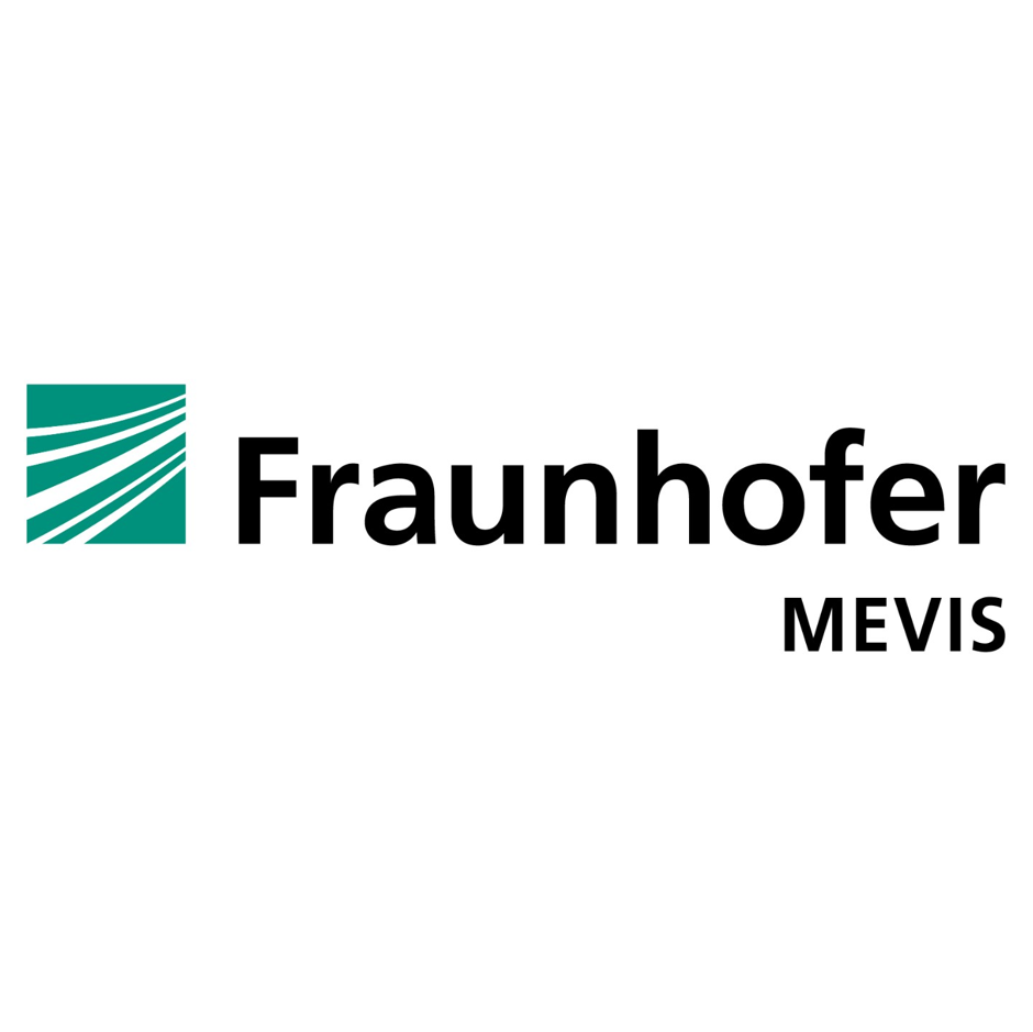 FranhoferMEVIS600.jpg