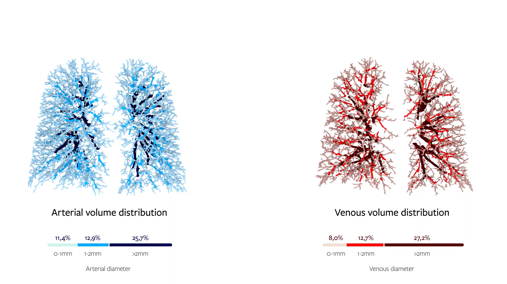 Pulmonary arterial and venous volume distribution and measurements