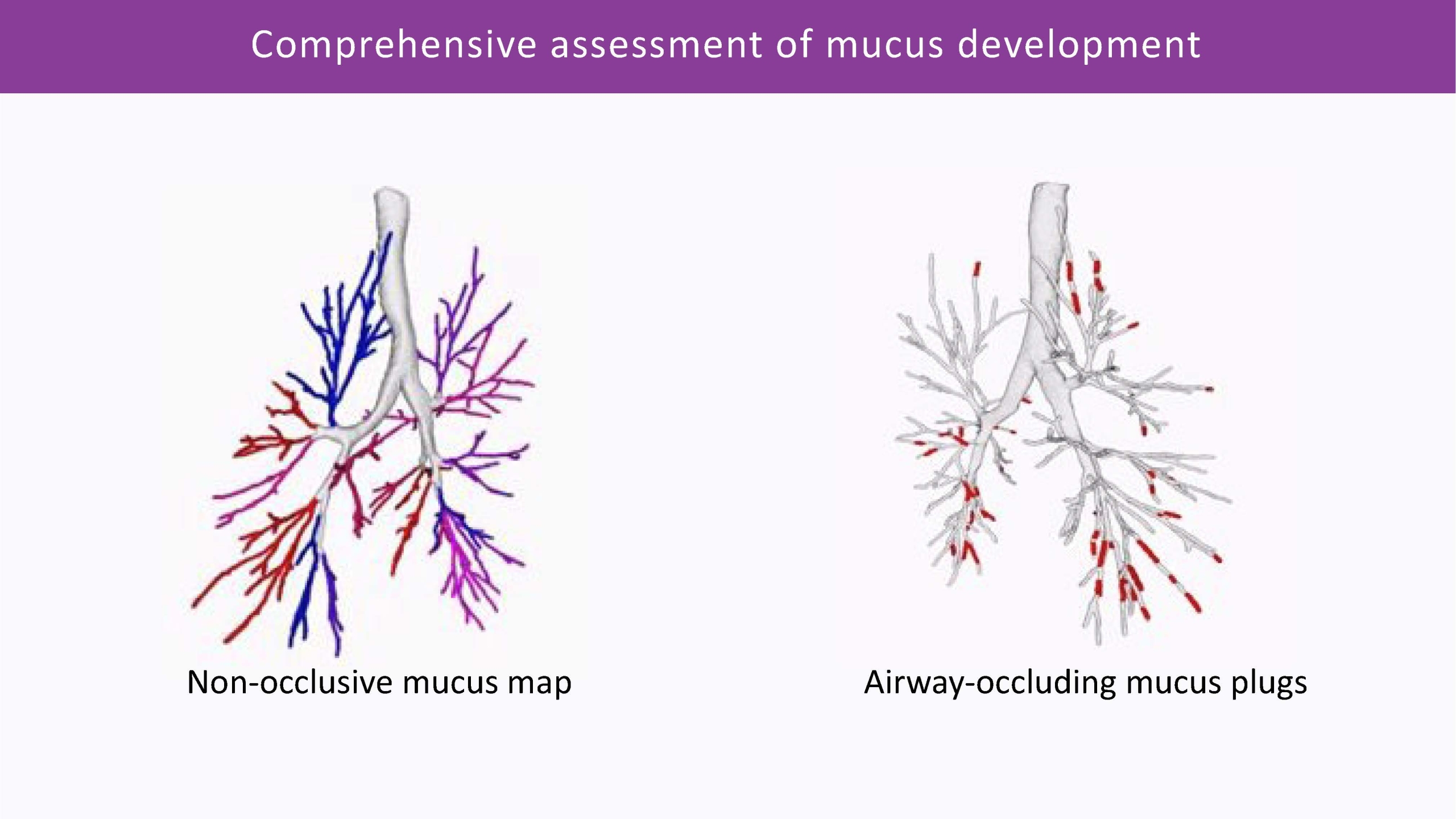 Comprehensive assessment of mucus development